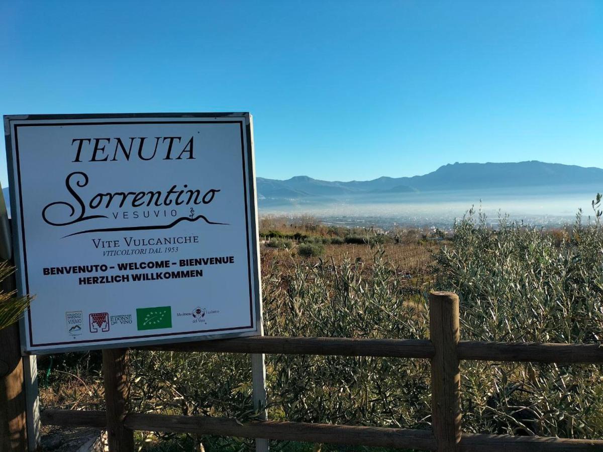 Vesuvio Inn Bed & Wine Experience Boscotrecase Εξωτερικό φωτογραφία