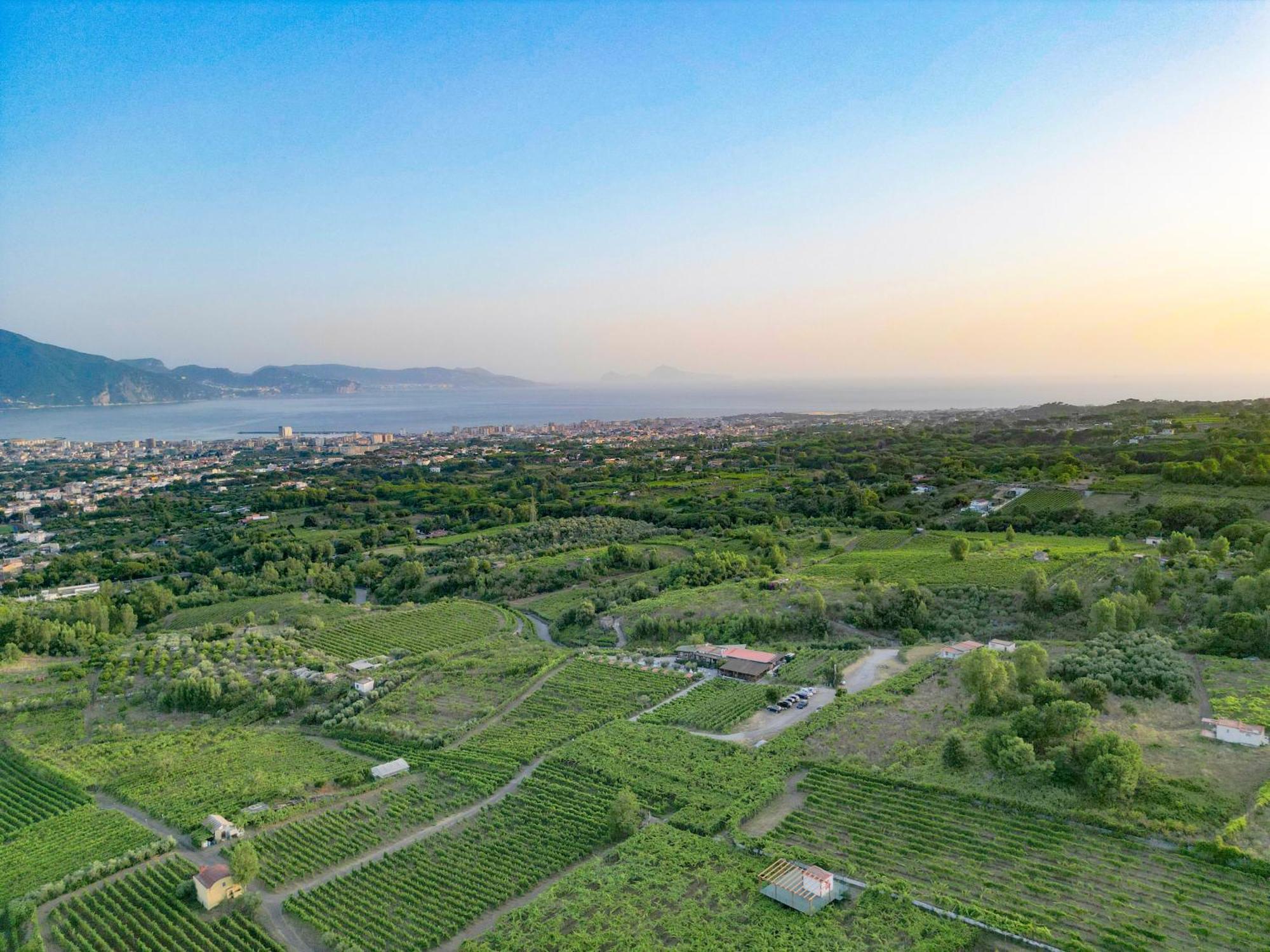 Vesuvio Inn Bed & Wine Experience Boscotrecase Εξωτερικό φωτογραφία