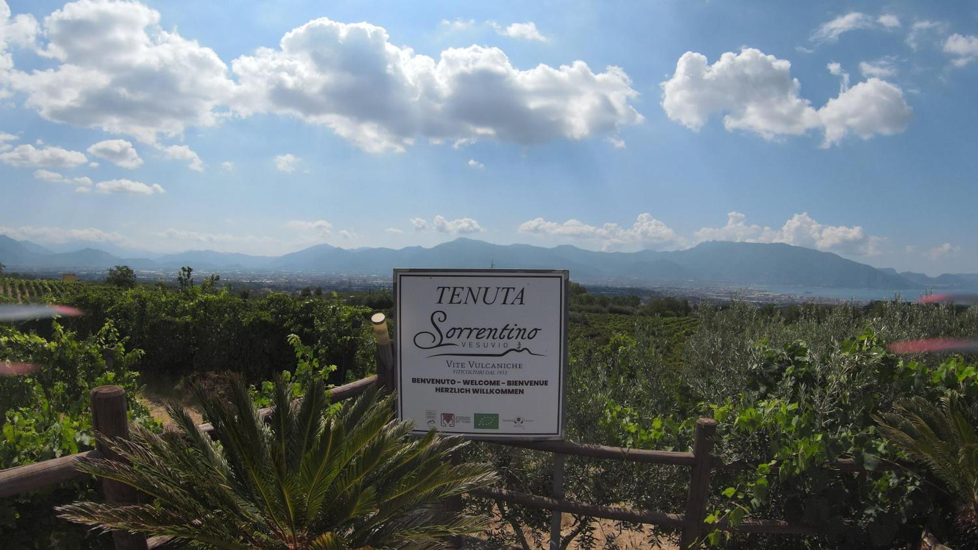 Vesuvio Inn Bed & Wine Experience Boscotrecase Εξωτερικό φωτογραφία