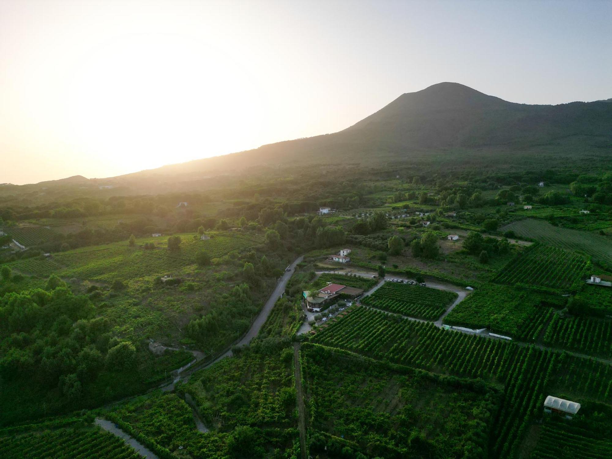 Vesuvio Inn Bed & Wine Experience Boscotrecase Εξωτερικό φωτογραφία