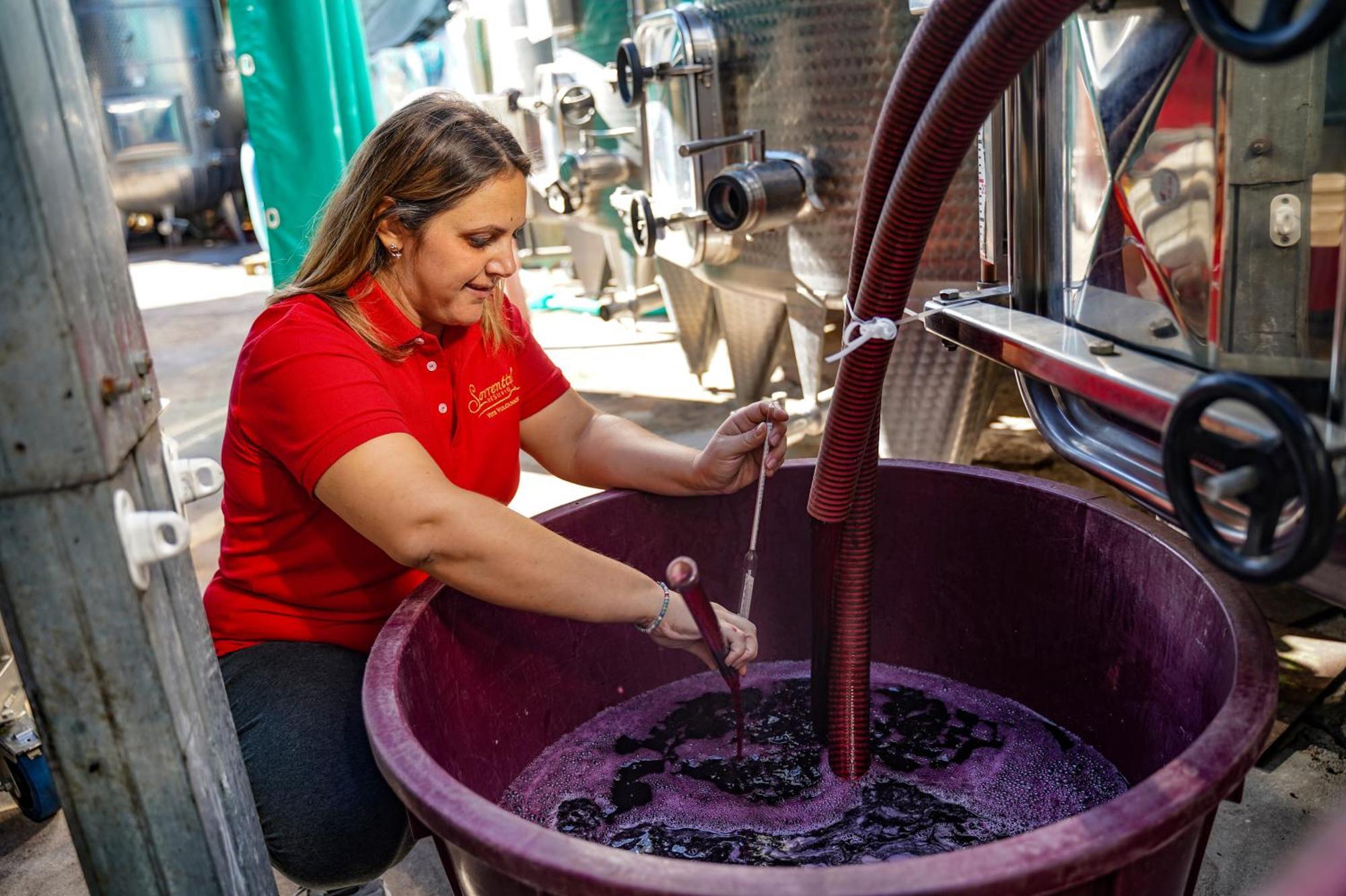 Vesuvio Inn Bed & Wine Experience Boscotrecase Εξωτερικό φωτογραφία
