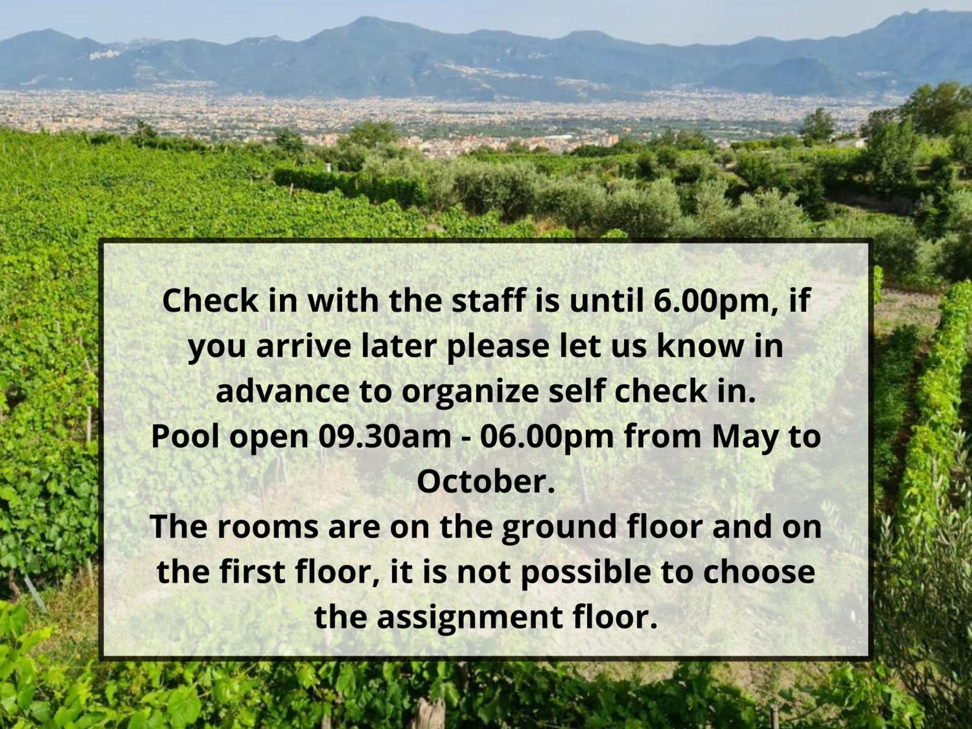 Vesuvio Inn Bed & Wine Experience Boscotrecase Εξωτερικό φωτογραφία