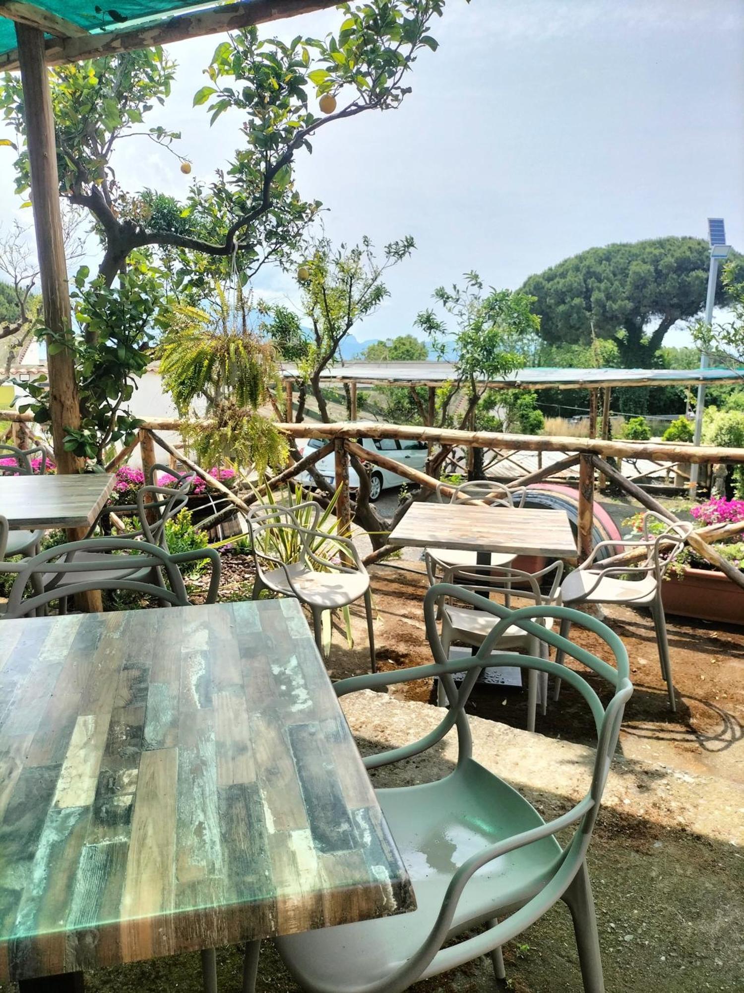 Vesuvio Inn Bed & Wine Experience Boscotrecase Εξωτερικό φωτογραφία