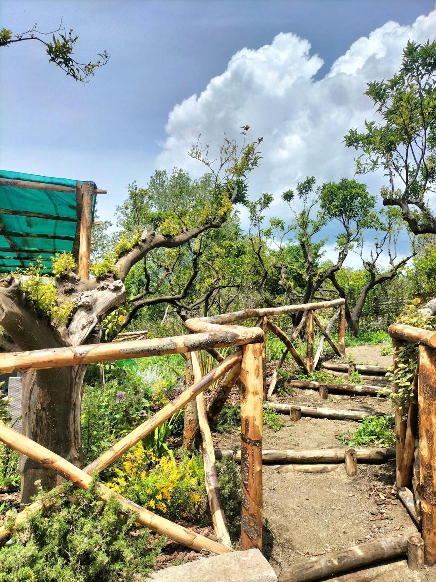 Vesuvio Inn Bed & Wine Experience Boscotrecase Εξωτερικό φωτογραφία